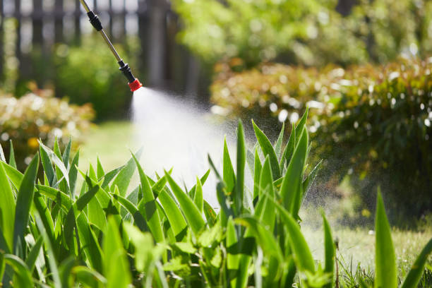 24/7 Emergency Mosquito Control experts in Glandorf, OH