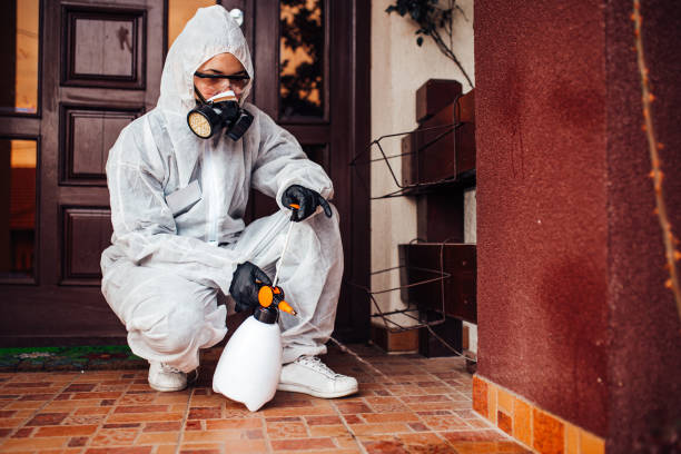 Reliable Mosquito Control contractor in Glandorf, OH by Show Me Pest Control