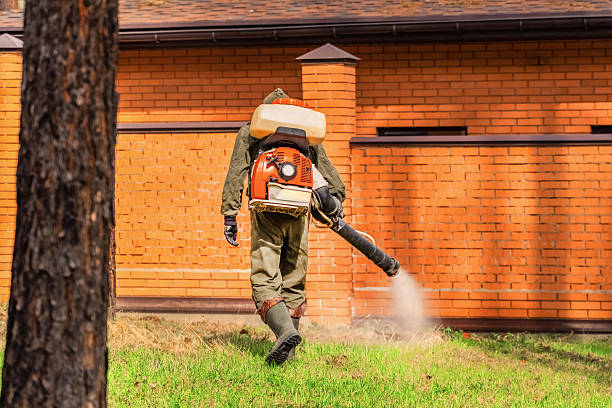 Top rated local Mosquito Control specialists in Glandorf, OH